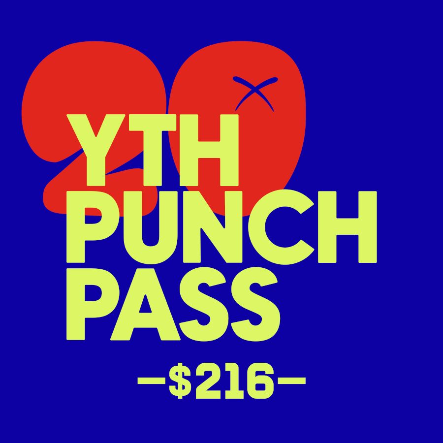 yth-punch-20